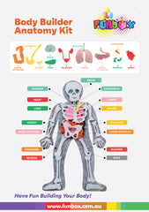 Build-a-Body Anatomy Learning Kit