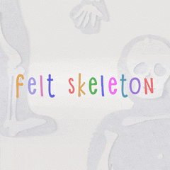 Build-a-Body Anatomy Learning Kit