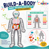What's Inside Me? Body Builder STEM Kit