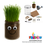 DIY Grass Head Jar Planting Kit