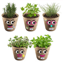Load image into Gallery viewer, DIY ECO Herb Head Planting Kit