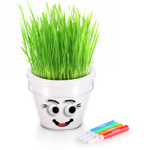 Load image into Gallery viewer, DIY Plant A Grass Head Pot Kit (White)