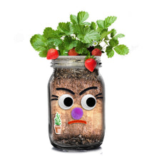 Load image into Gallery viewer, DIY Veg Head Jar Planting Kit