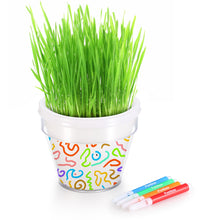 Load image into Gallery viewer, DIY Plant A Grass Head Pot Kit (White)