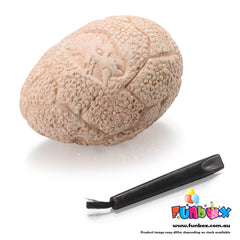 Dino Egg Dig Kit