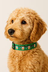 Christmas Pet Collar