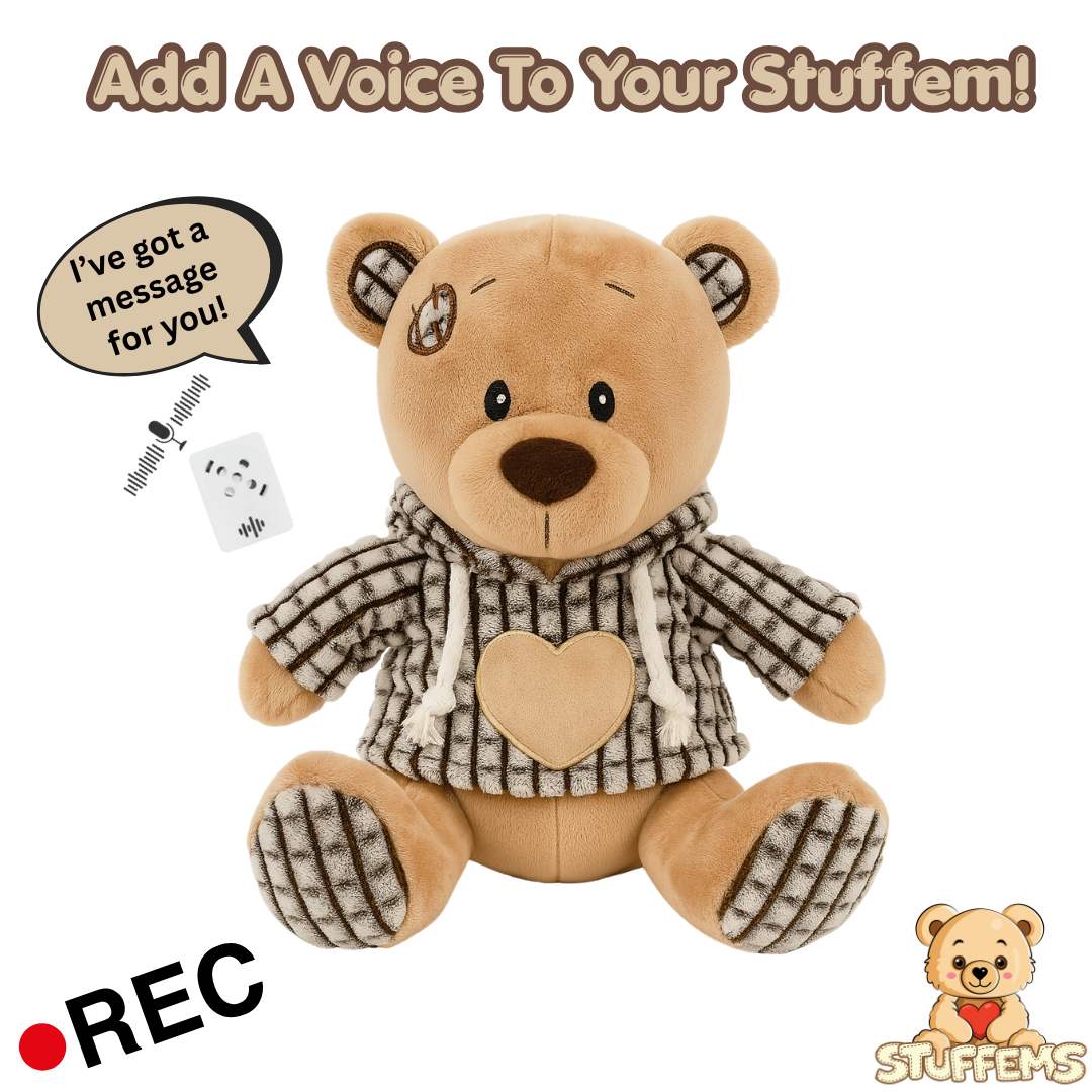 Stuffem Voice Recorder (Record & Play Device)