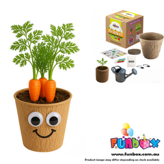 DIY ECO Vegetables Planting Kit