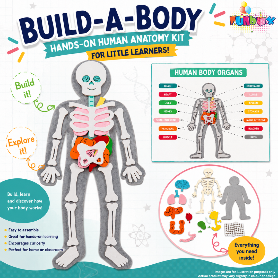What's Inside Me? Body Builder STEM Kit