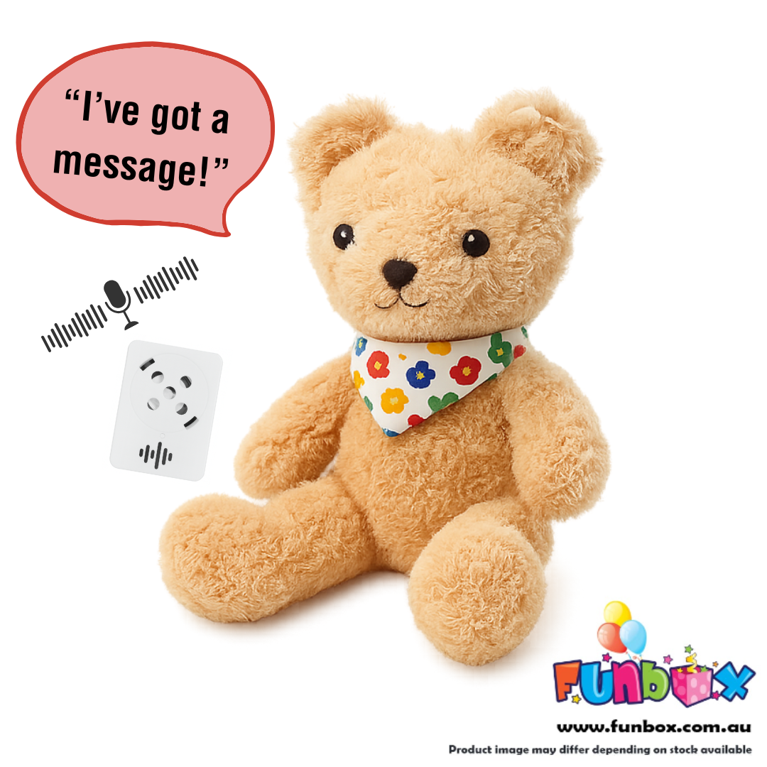 'Talking Ted' Stuffem Bear Kit