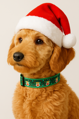 Christmas Pet Collar