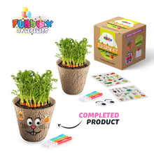 Load image into Gallery viewer, DIY ECO Vegetables Planting Kit