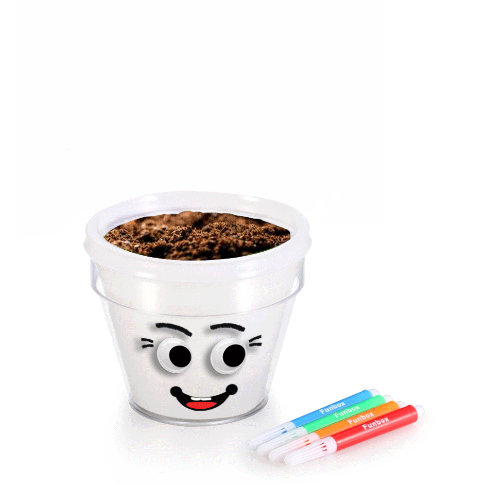 DIY Plant A Grass Head Pot Kit (White)