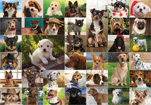 Load image into Gallery viewer, Dogs, Dogs, Dogs 1000 Piece Puzzle