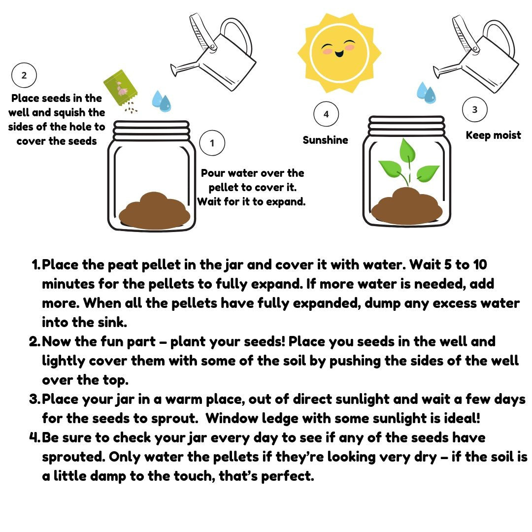 DIY Vegetable Planting Jar Kit