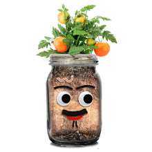 Load image into Gallery viewer, DIY Veg Head Jar Planting Kit