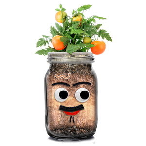 DIY Veg Head Jar Planting Kit