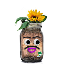 Load image into Gallery viewer, DIY Flower Head Planting Jar Kit