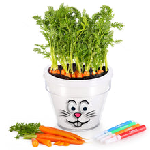 Load image into Gallery viewer, DIY Plant a Carrot Pot Kit (White)