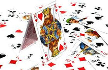 Load image into Gallery viewer, Deck of Playing Cards