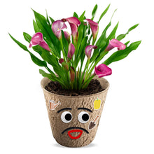 Load image into Gallery viewer, DIY Flower Planting Pot Kit